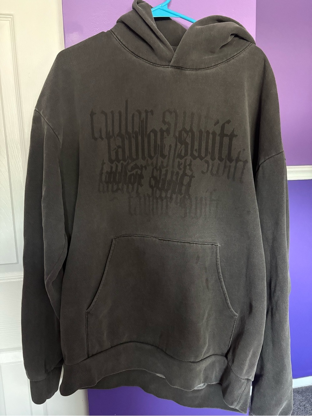 Taylor Swift Reputation Era Snake Heavy Hoodie - Picture 5 of 6